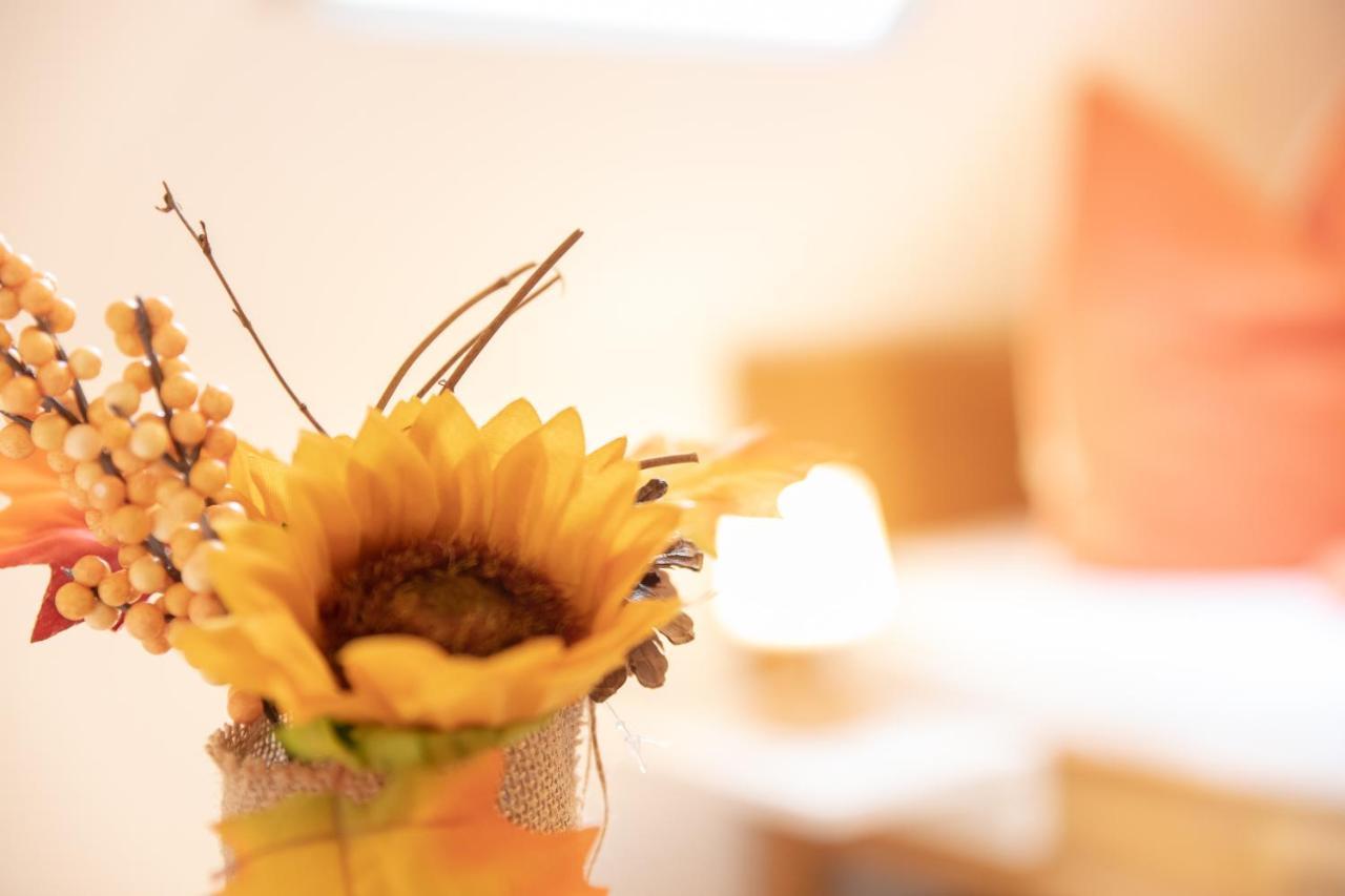 Haus Rosy Ferienwohnung Stubenberg Kültér fotó