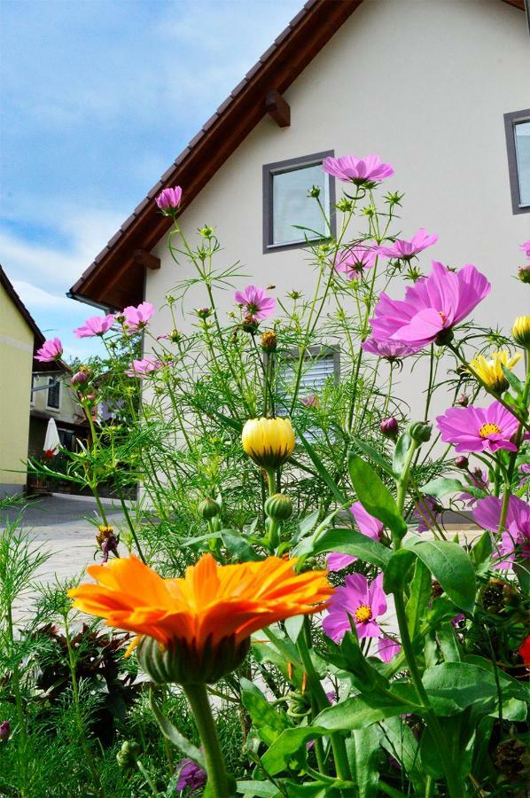 Haus Rosy Ferienwohnung Stubenberg Kültér fotó